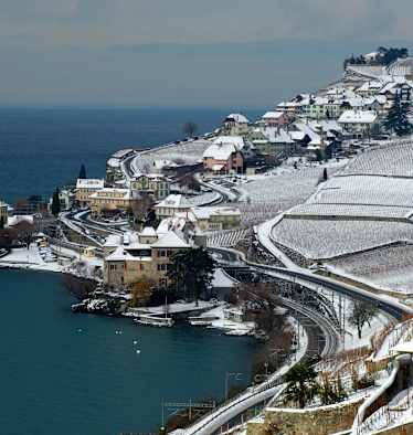 Lavaux Unesco Rivaz Genfersee