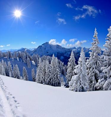 Skitouren und Freeriden im Ammergau