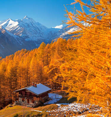 Bergwald Heiligenblut