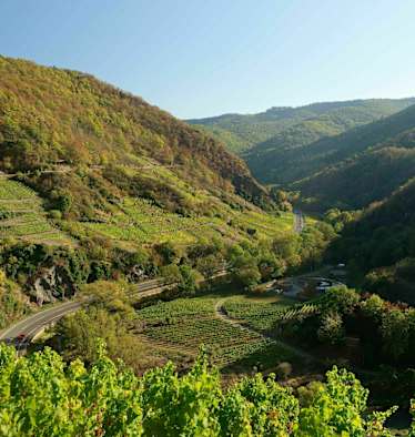 Stadtnahes Wandern im Ahrtal bei Mayschoss in unmittelbarer Nähe von Köln