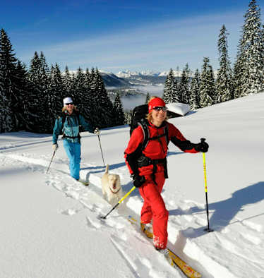 Skitourengeher am Dürrnbachhorn (1.776 m) in den Chiemgauer Alpen an der Grenze von Salzburg und Bayern
