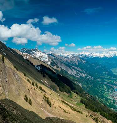 Panorama-Ausblick vom Brienzergrat in den Berner Alpen