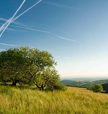 Blick vom Hoherodskopf am Vogelsberg in Hessen