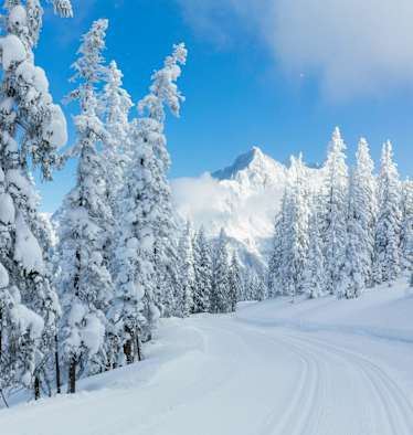Langlaufen auf dem winterlichen Hochplateau in Ramsau am Dachstein