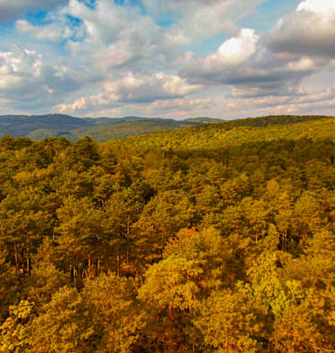 Ausblick auf den Gipfel des Anninger und die herbstliche Landschaft von Perchtoldsdorf, Niederösterreich