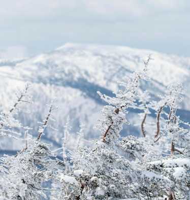 Wie eine Kugellager innerhalb der Schneedecke wirken die runden Graupelkörner