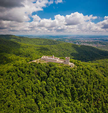 Eine Festung auf dem Berg umrandet von Wald.