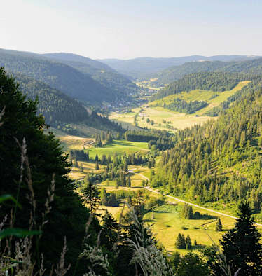 Menzenschwander Geißenpfad: Hochschwarzwald in Baden-Württemberg