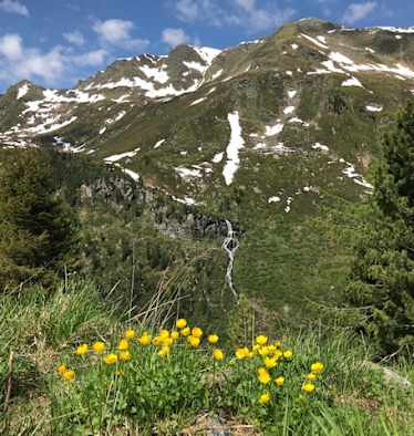 Saubere Berge - unterwegs im Mölstal in den Tuxer Alpen.