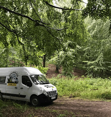 Lauras Schlafplatz im Wald von Møns Klint