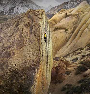 Nina Williams The High Road