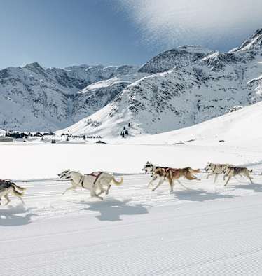 Manuela Petutschnig mit Hundeschlitten