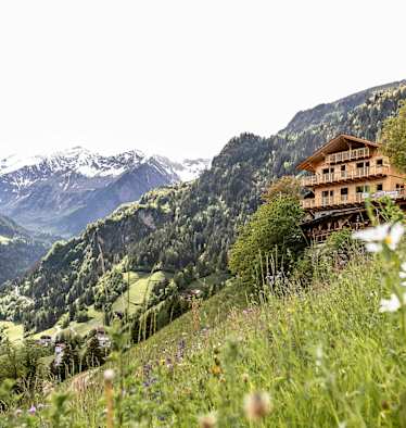 grüne Hänge mit Blumenwiesen, am Hang der Niedersteinhof und im Hintergrund verschneite Gipfel Südtirols