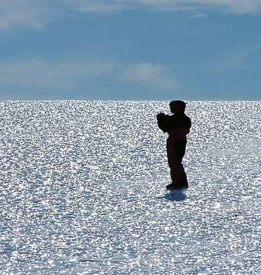 Eis.Leben: Forschungsreise in der Antarktis