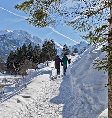 Zwei Personen und ein Hund mit wunderschönem Panorama.