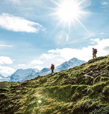 Wanderer auf weiten Almen mit Blick auf den Ortler