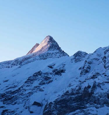 Grindelwald: Blick aufs Schreckhorn in den Berner Alpen