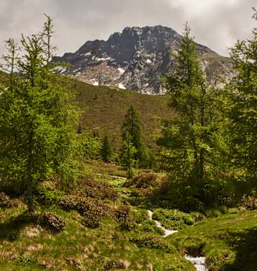 Ein Bach kreuzt den Weg Richtung Mahd-Alm.