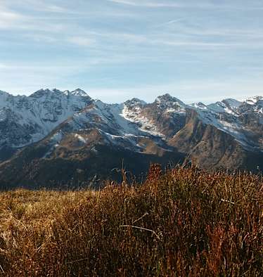 Schneefrei am Pflerscher Höhenweg