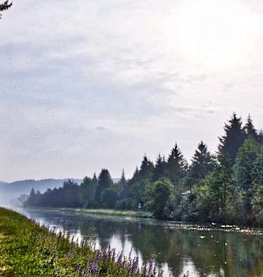 Naturschutzgebiet Pupplinger Au bei München