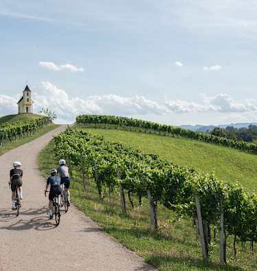 Drei Rennradfahrer radeln zwischen Weinbergen auf eine Kapelle zu.