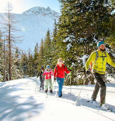 Vier Schneeschuhwanderer am Berg