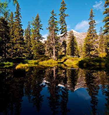 Moortümpel im Rauriser Urwald: Wandern in der Goldberggruppe in Salzburg