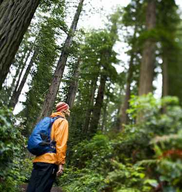 Wanderer bei Regen im Wald