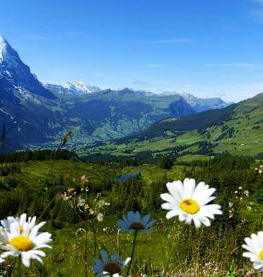 Rundwanderung in der Jungfrau-Region: Durchs Reichenbachtal im Berner Oberland