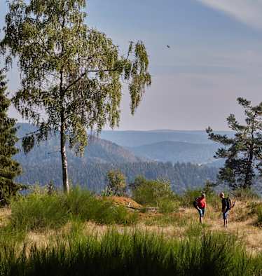 Deutscher Wandertag: Am Rennsteig im Thüringer Wald