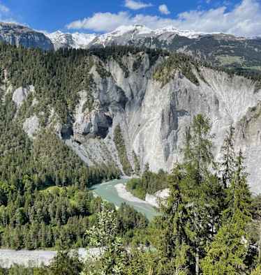 Blick von oben auf die Rheinschlucht