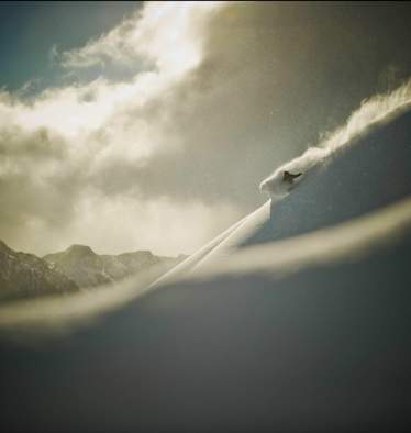 Welcher Freerideski passt für welchen Schnee?