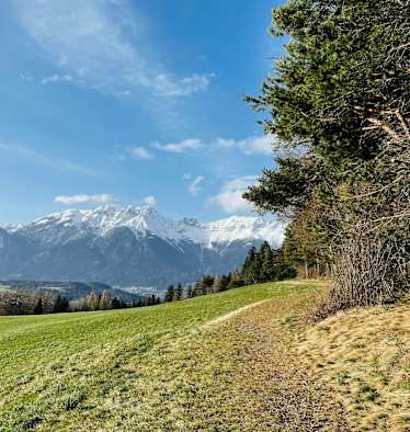 Das Naturschutzgebiet Rosengarten bei Patsch oberhalb von Innsbruck ist schon schneefrei.