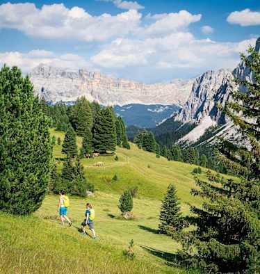 Blick über die Medalgs-Wiesen