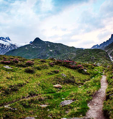 Saubere Berge: Großvenediger