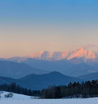 Rax-Schneeberg-Gruppe: Schneeberg in Niederösterreich