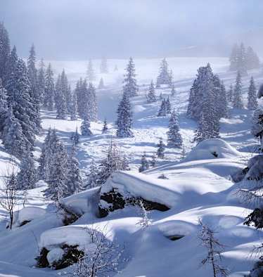 Kitzbüheler Alpen: Schneegrubenspitze in der Kelchsau