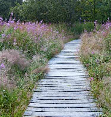 Wandern im Naturpark Bayerische Rhön