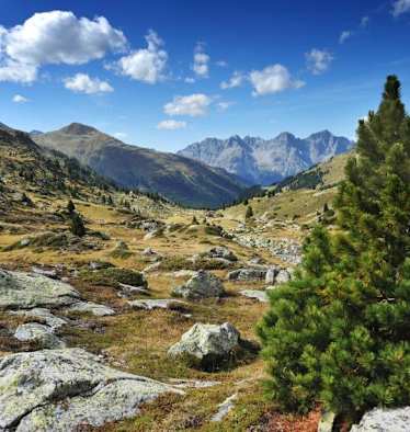 Wunderschöne Landschaft im Schweizer Nationalpark