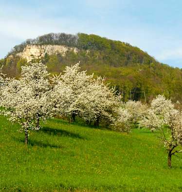 Wandern im Baselland: Sissacherflue