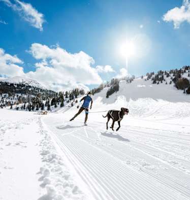 Anna Milazzi und ihr Hund Finn auf der Loipe