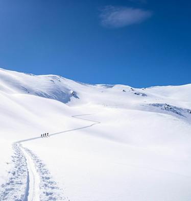 Spur durch die winterliche Landschaft
