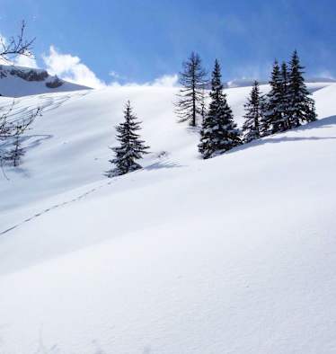 Salzburger Land: Gelände bei Kleinarl