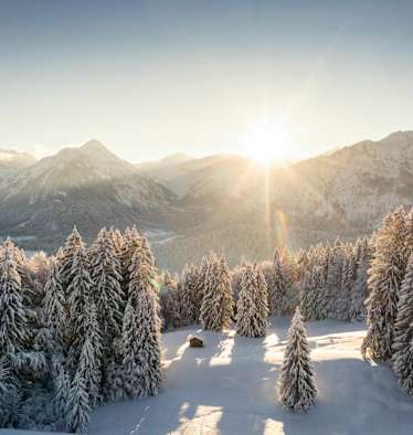 Sonnenuntergang über dem Tannenmeer