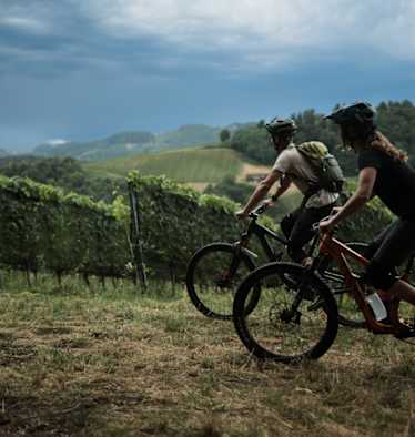 Wer beim Radfahren die sportliche Herausforderung sucht, kommt in der Südsteiermark auf seine Kosten.