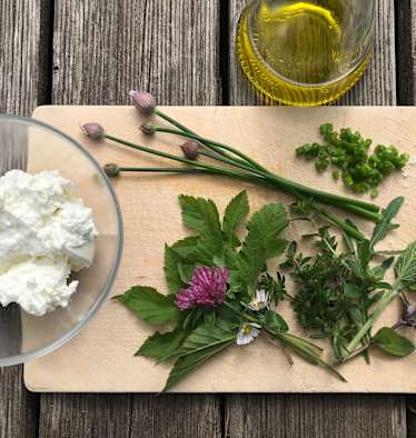 Kochen mit Wildkräutern