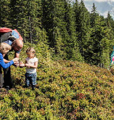 Familie auf Weide vor Wald