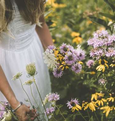 Wilde Wiesenkräuter und ihre heilende Wirkung