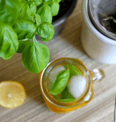 Selbstgemachter Eistee mit frischen Kräutern