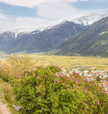 Vinschgau im Frühling Wandern Waalwege